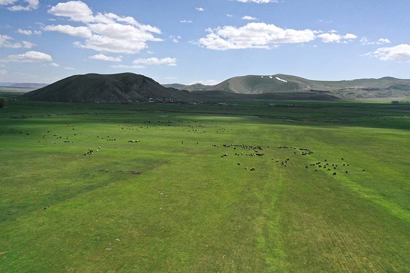 Sadece 73 bin TL’ye arsa fırsatı! Milli Emlak’tan devlet garantili imarlı arazi satışı başladı 6